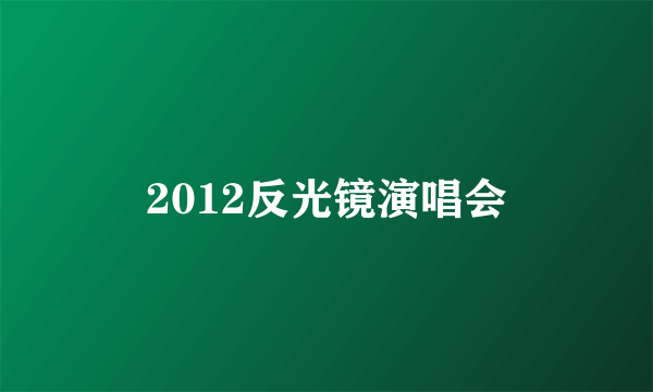 2012反光镜演唱会