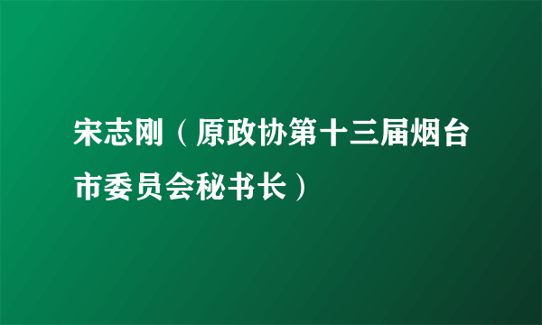 宋志刚（原政协第十三届烟台市委员会秘书长）