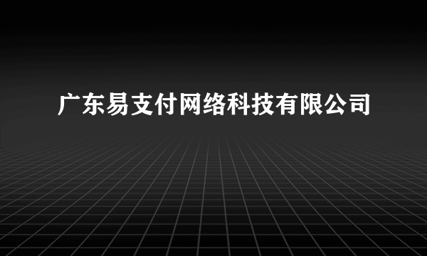 广东易支付网络科技有限公司
