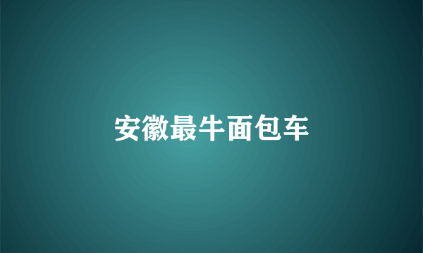 安徽最牛面包车