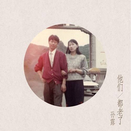 他们都老了（孙露演唱歌曲）