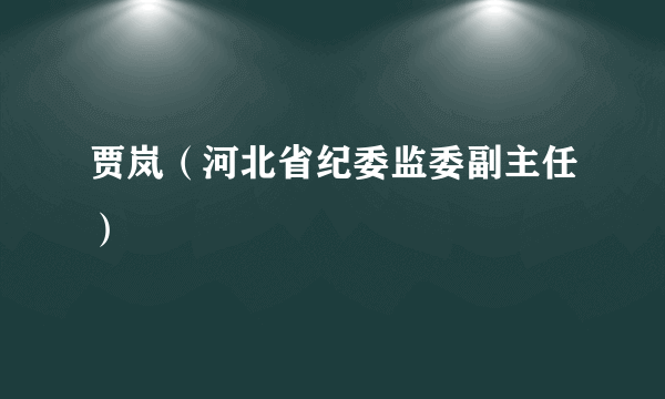 贾岚（河北省纪委监委副主任）