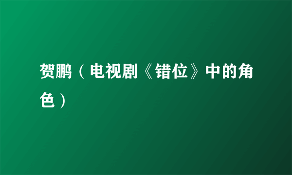 贺鹏（电视剧《错位》中的角色）
