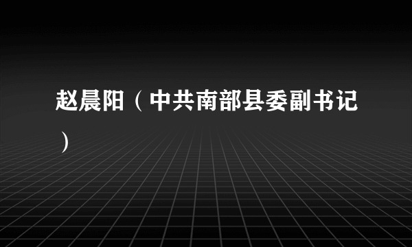 赵晨阳（中共南部县委副书记）