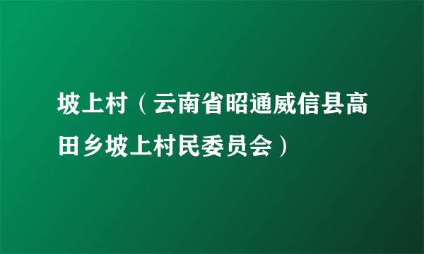 坡上村（云南省昭通威信县高田乡坡上村民委员会）