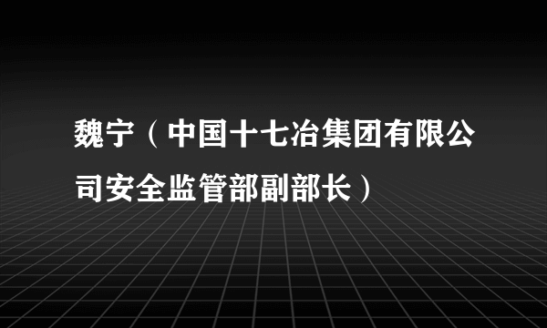 魏宁（中国十七冶集团有限公司安全监管部副部长）