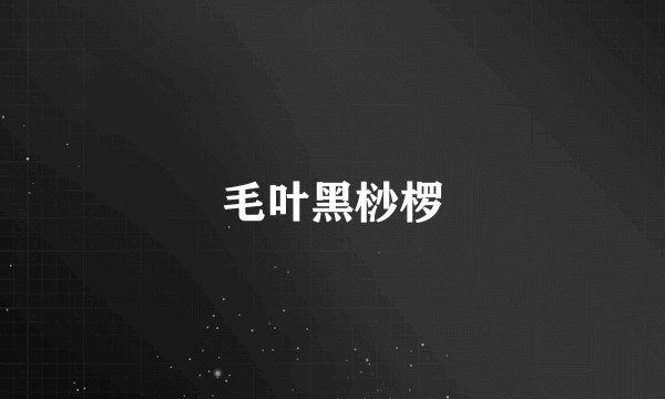 毛叶黑桫椤