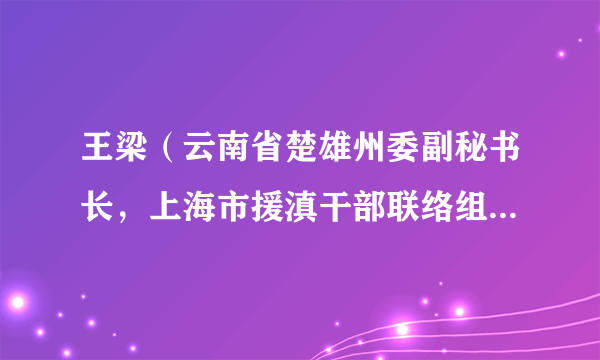 王梁（云南省楚雄州委副秘书长，上海市援滇干部联络组楚雄小组组长）