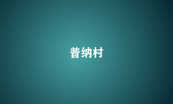 普纳村