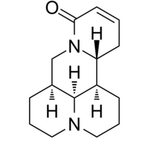 槐果碱