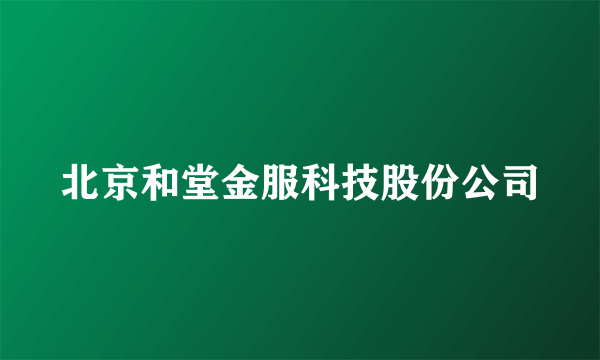 北京和堂金服科技股份公司