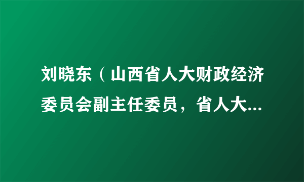 刘晓东（山西省人大财政经济委员会副主任委员，省人大常委会预算工作委员会副主任）