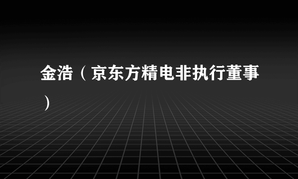 金浩（京东方精电非执行董事）