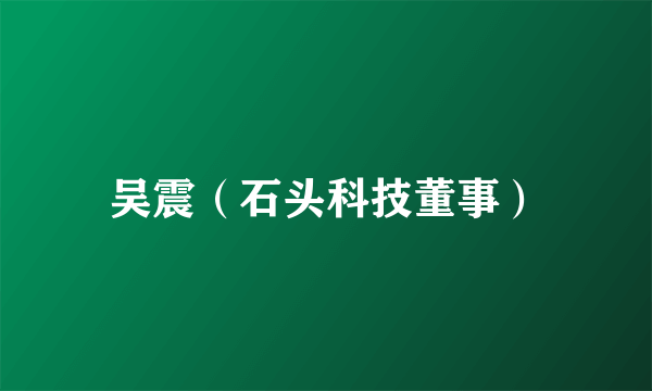 吴震（石头科技董事）