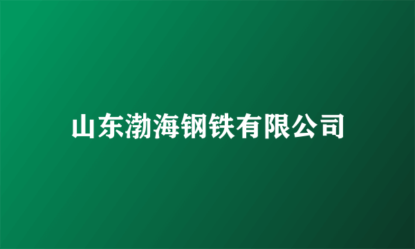 山东渤海钢铁有限公司