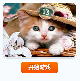可爱猫咪找数字5