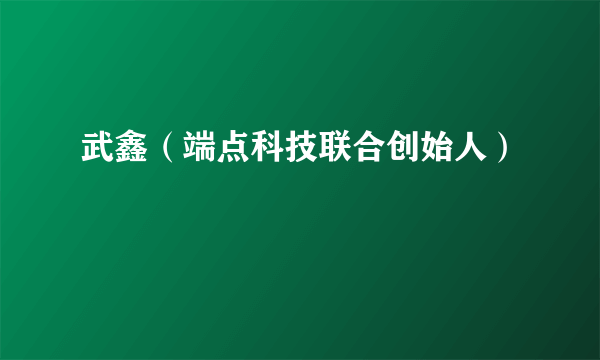 武鑫（端点科技联合创始人）