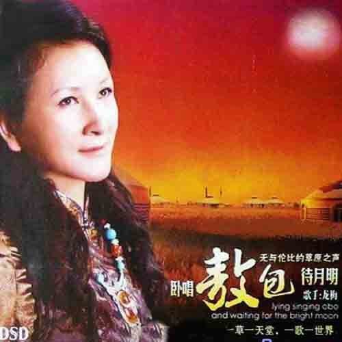 草原情（龙梅演唱的歌曲）