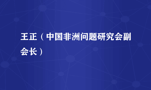 王正（中国非洲问题研究会副会长）