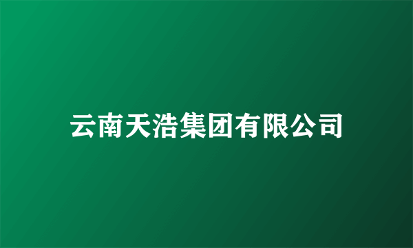 云南天浩集团有限公司