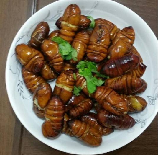 香炒蚕蛹