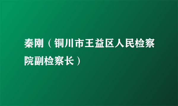 秦刚（铜川市王益区人民检察院副检察长）
