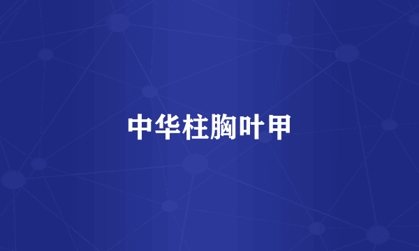 中华柱胸叶甲