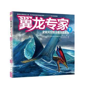 翼龙专家（下）