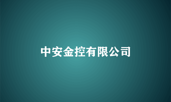 中安金控有限公司