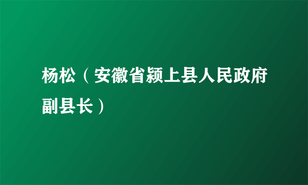 杨松（安徽省颍上县人民政府副县长）
