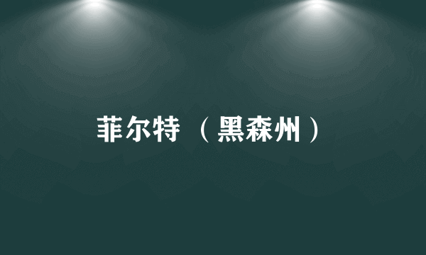 菲尔特 （黑森州）