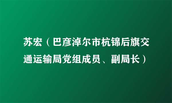 苏宏（巴彦淖尔市杭锦后旗交通运输局党组成员、副局长）