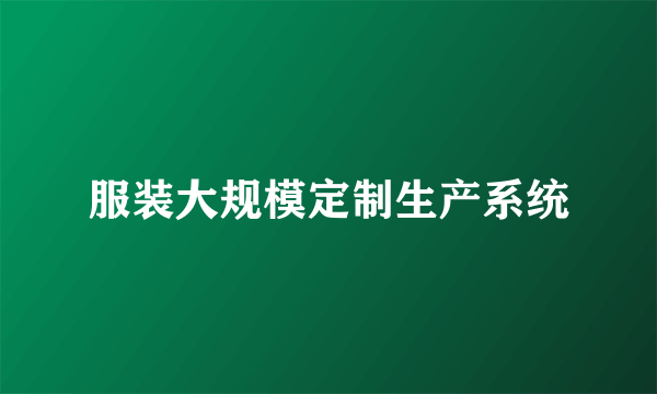 服装大规模定制生产系统