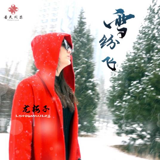 雪纷飞（龙梅子演唱歌曲）