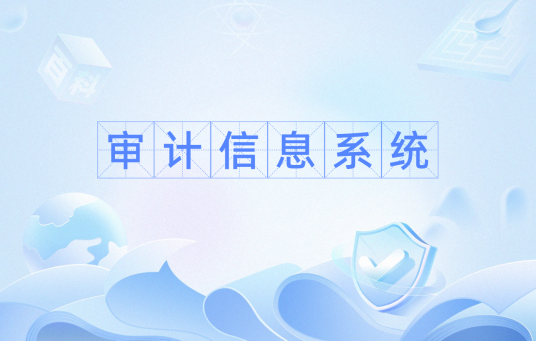 审计信息系统