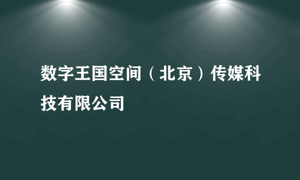 数字王国空间（北京）传媒科技有限公司