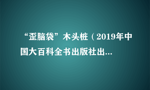 “歪脑袋”木头桩（2019年中国大百科全书出版社出版的图书）
