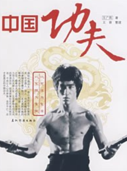 中国功夫（2008年五洲传播出版社出版的图书）