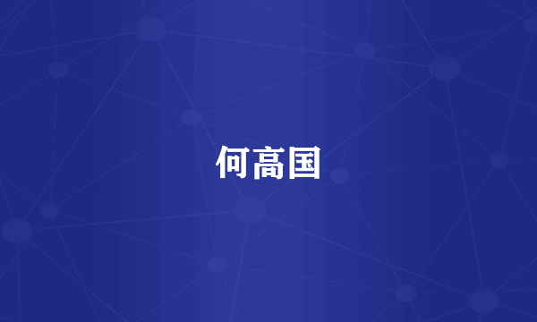 何高国