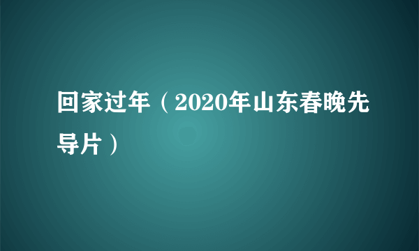 回家过年（2020年山东春晚先导片）