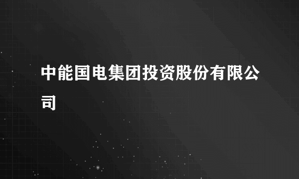 中能国电集团投资股份有限公司