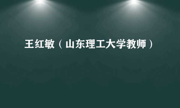王红敏（山东理工大学教师）