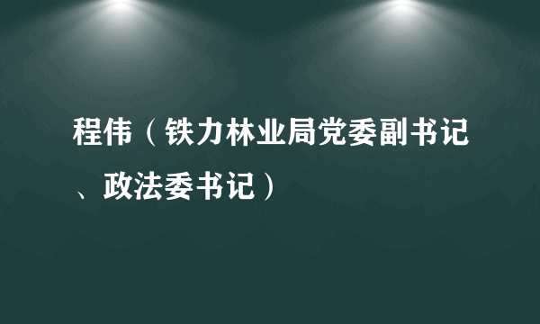 程伟（铁力林业局党委副书记、政法委书记）