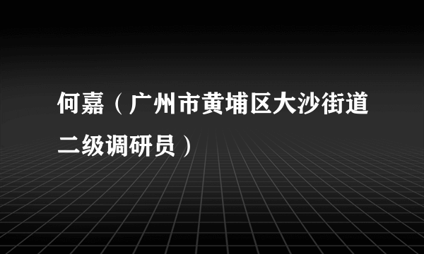 何嘉（广州市黄埔区大沙街道二级调研员）