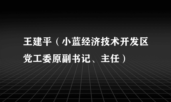 王建平（小蓝经济技术开发区党工委原副书记、主任）