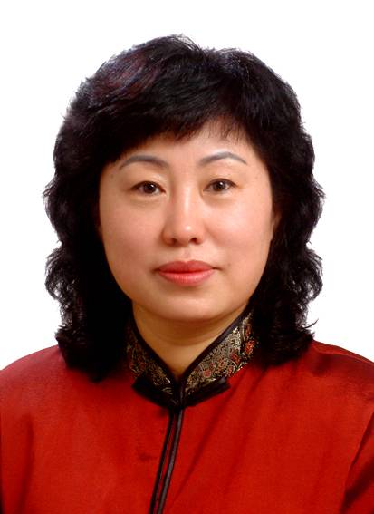 王丽萍（海南省卫生健康委员会一级巡视员）