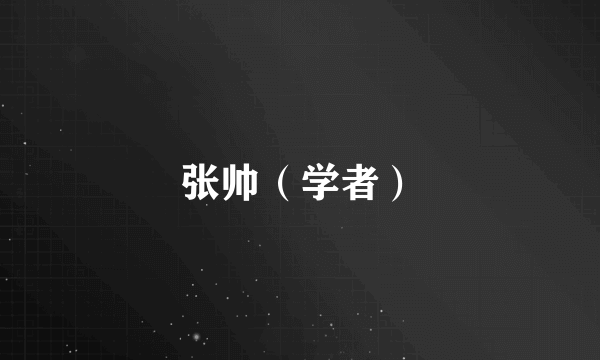 张帅（学者）