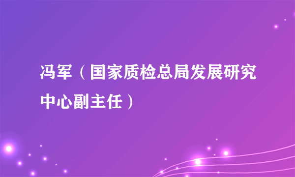 冯军（国家质检总局发展研究中心副主任）