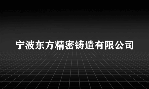 宁波东方精密铸造有限公司