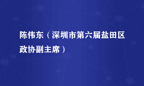 陈伟东（深圳市第六届盐田区政协副主席）